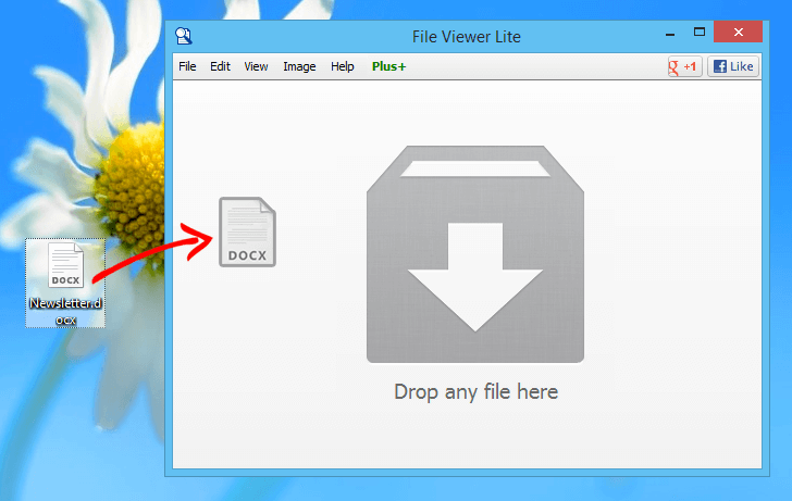 File Viewer Lite Drag and Drop
