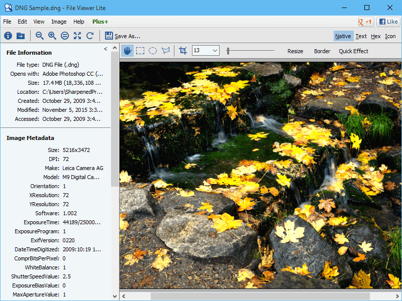 Open Digital Negative Image DNG with File Viewer Lite