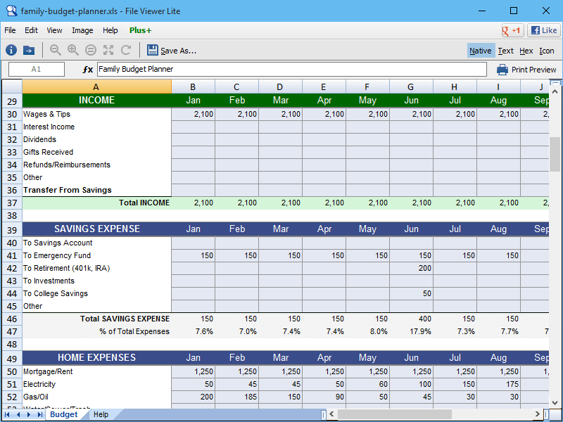 Open Microsoft Excel XLS And XLSX Files