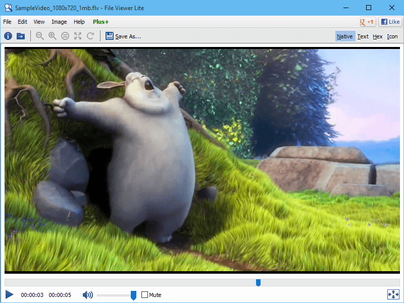 Open FLV with File Viewer Lite