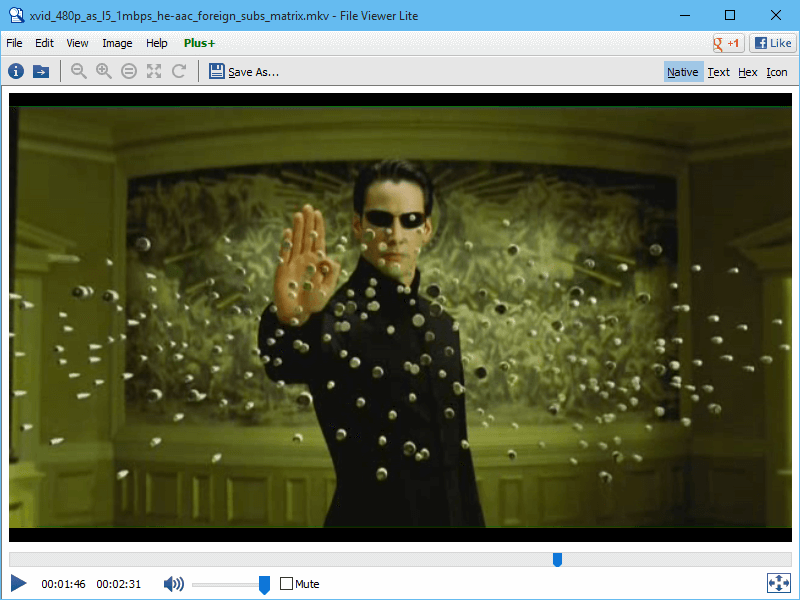Open MKV with File Viewer Lite