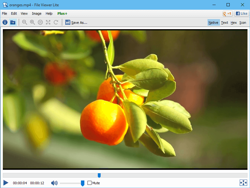 Open MP4 with File Viewer Lite