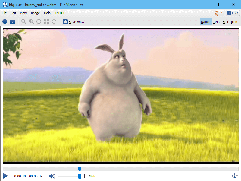 Open WEBM with File Viewer Lite